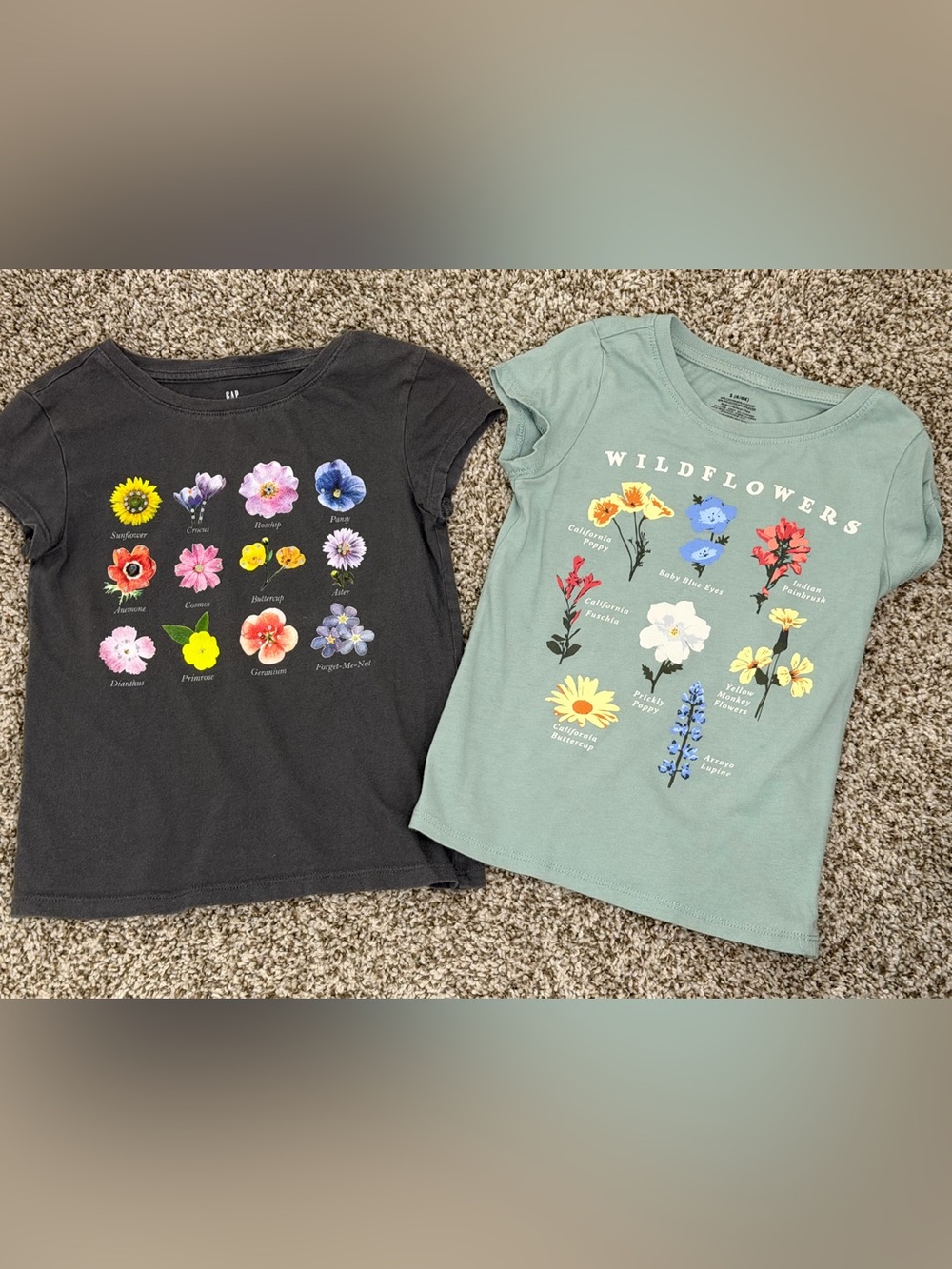 Girls GAP Kids Casual Flower Cotton T-shirts Gray Green S 6/6X flower power